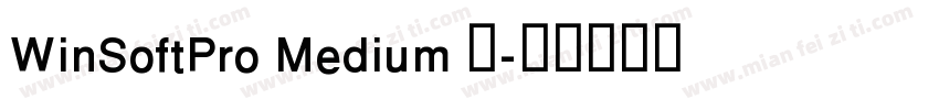 WinSoftPro Medium 中字体转换